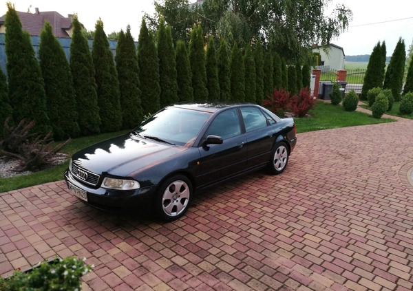 Audi A4 cena 12000 przebieg: 285000, rok produkcji 1999 z Płock małe 56